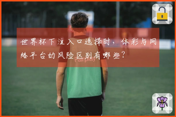 世界杯下注入口选择时，体彩与网络平台的风险区别有哪些？