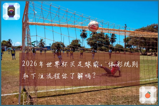 2026年世界杯买足球前，体彩规则和下注流程你了解吗？