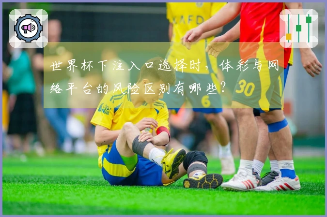 世界杯下注入口选择时，体彩与网络平台的风险区别有哪些？