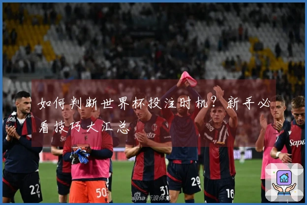 如何判断世界杯投注时机？新手必看技巧大汇总