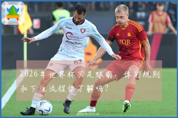 2026年世界杯买足球前，体彩规则和下注流程你了解吗？